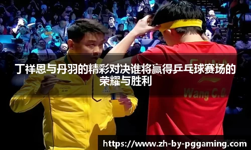 丁祥恩与丹羽的精彩对决谁将赢得乒乓球赛场的荣耀与胜利